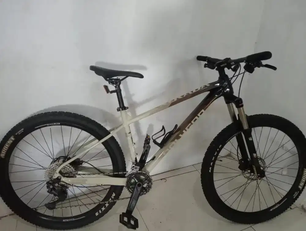 Sepeda Polygon xtrada 6