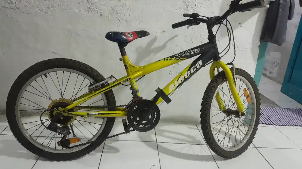 Sepeda anak aleoca ring 29