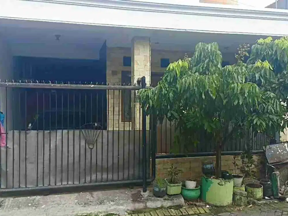 DiJual Cepat BU Rumah Siap Huni Terawat Atap Sudah Dek Wisma Tengger Surabaya.