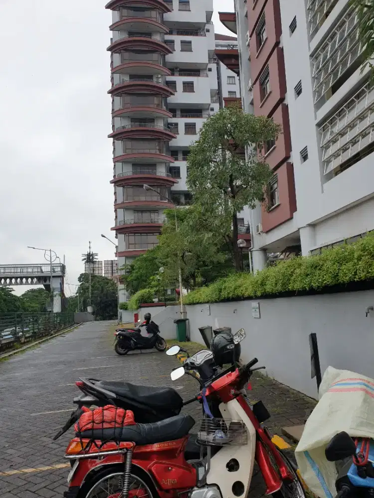 Jual astrea 800 (asdap) th 83