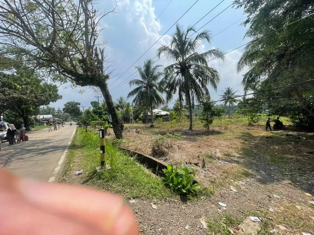 Di jual cepat tanah premium