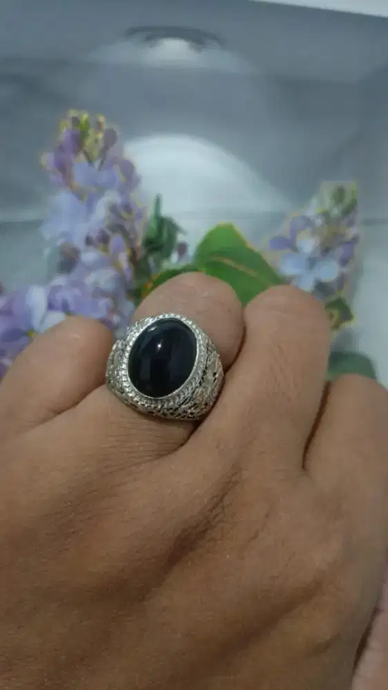BACAN COKMER (COKLAT MERAH)