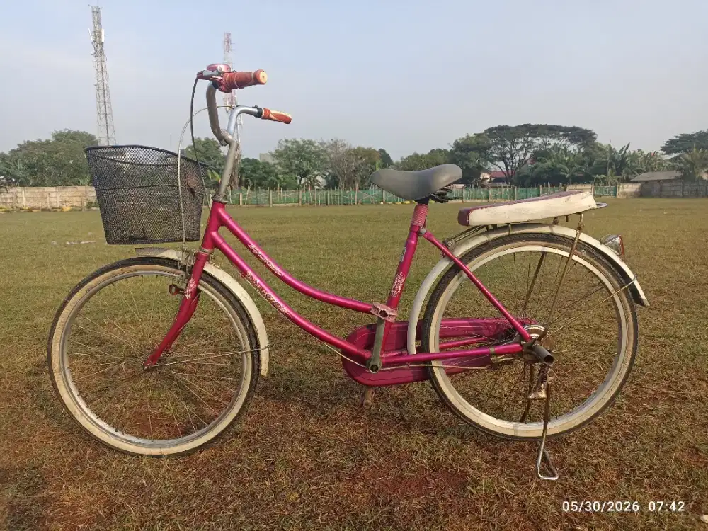 Sepeda Mini Evergreen Royal Princess