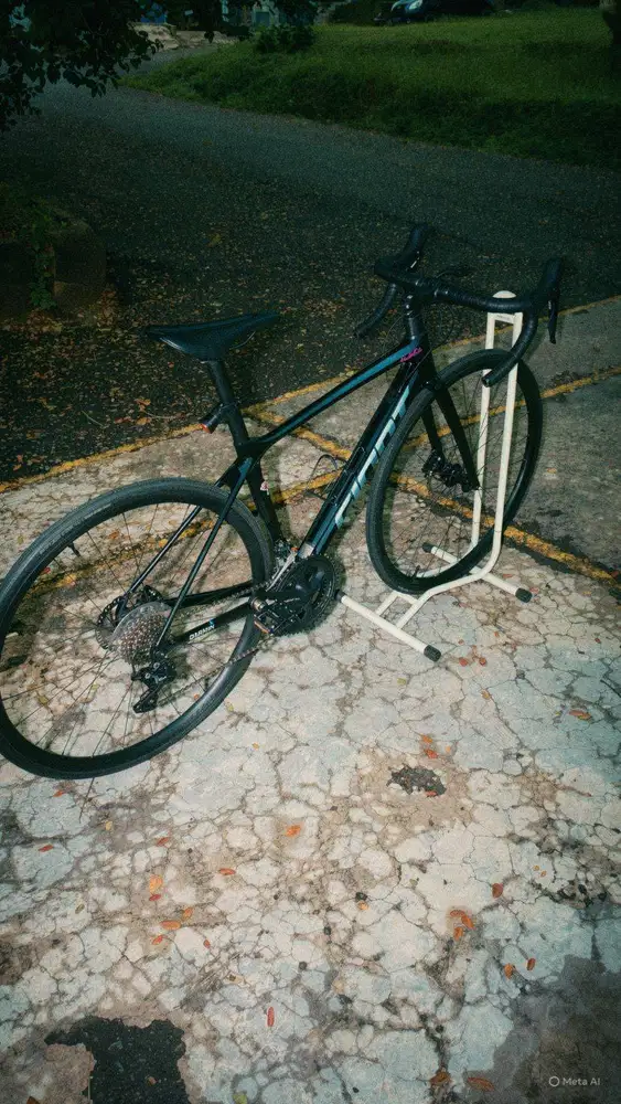 SEPEDA GIANT TCR 2021