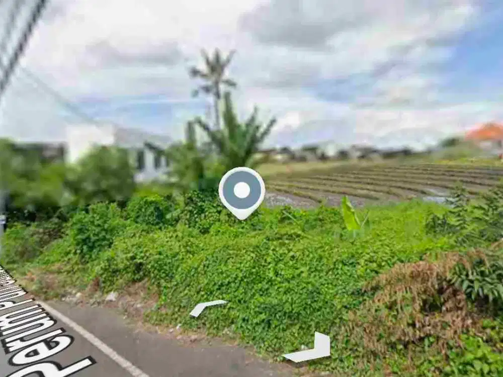 Dijual tanah komersil Luas 4,5 are View Sawah lokasi babakan canggu
