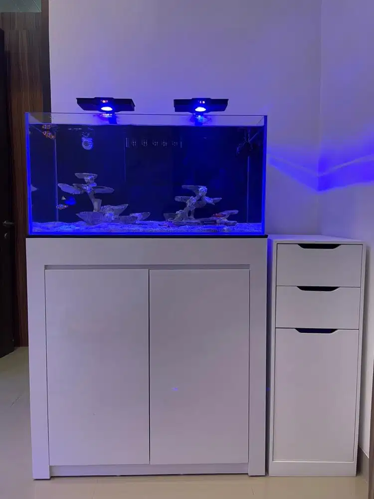 aquarium laut (reef tank)  fullset baru (vivaria optic clear 90 cm)