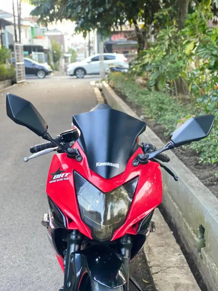 Kawasaki ninja 250SL mono 2014