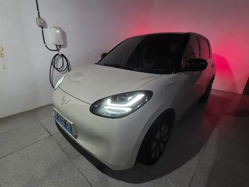 Wuling Binguo EV 333km long range 2024