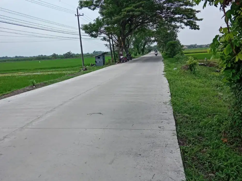 Dijual Tanah Kavling Jombang Jawa Timur 350 rb Permeter