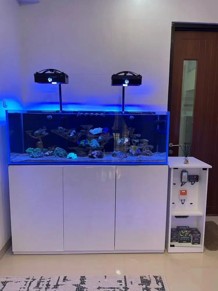 aquarium laut (reef tank) baru vivaria optic clear 150 cm full set