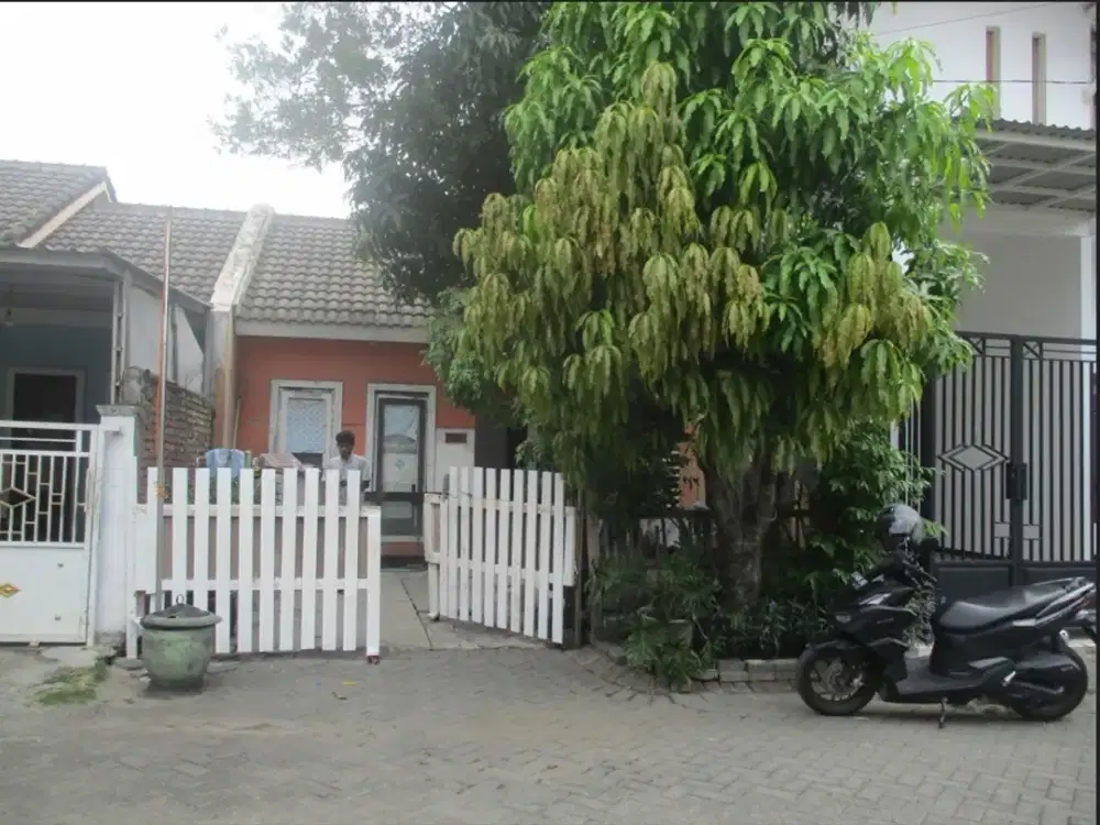 Perum Bukit Citra Mas Blok D No 24 Kel Petiken Driyorejo Gresik