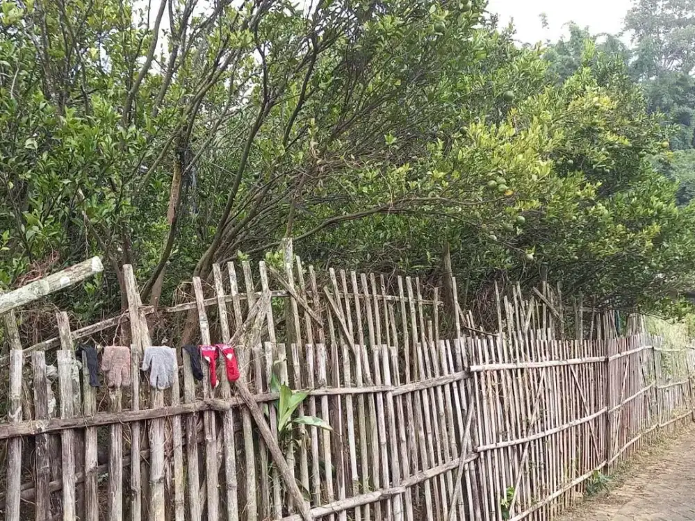 KELURAHAN PUNTEN, BUMIAJI BATU