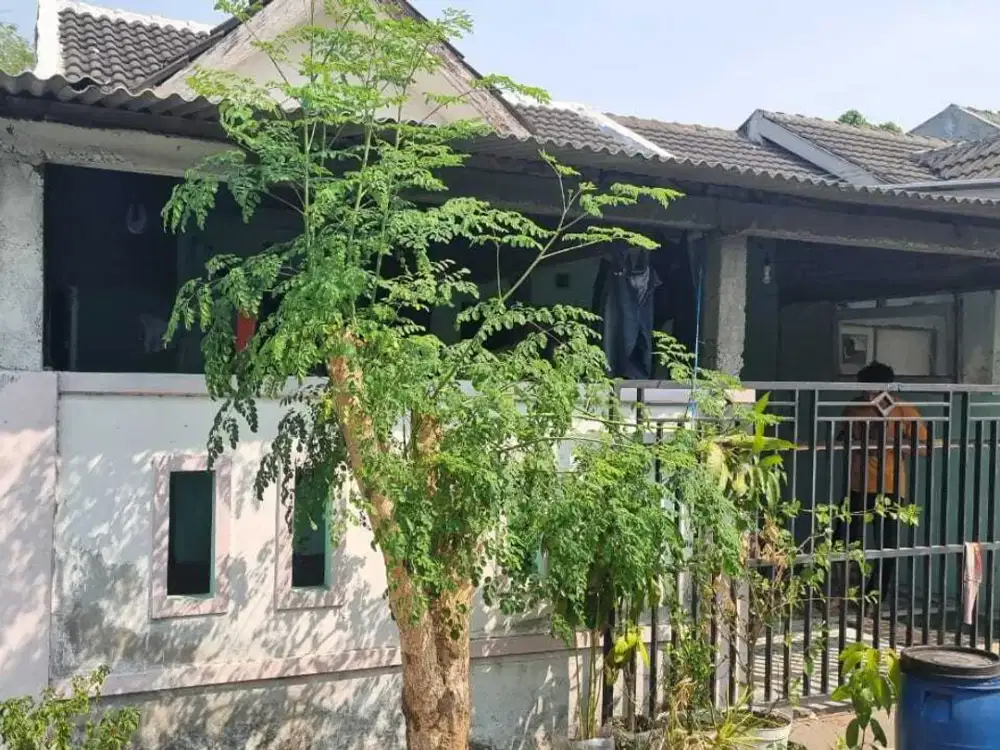 Rumah Kelurahan Grogol Kec Tulangan Kab Sidoarjo