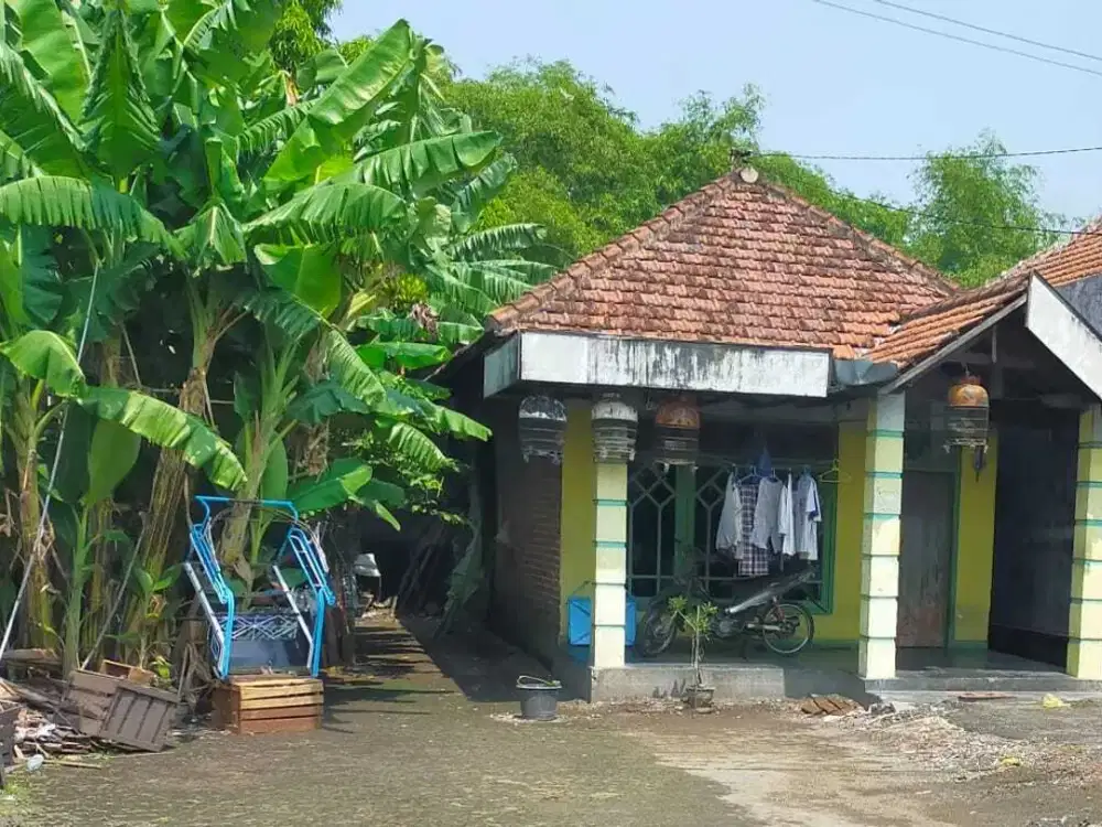 Rumah Kelurahan Tropodo Kec Krian Kab Sidoarjo