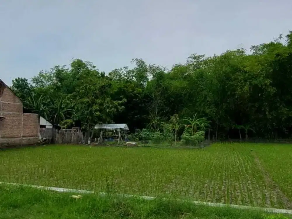 Tanah Kelurahan Cangakan Kecamatan Kanor Kabupaten Bojonegoro