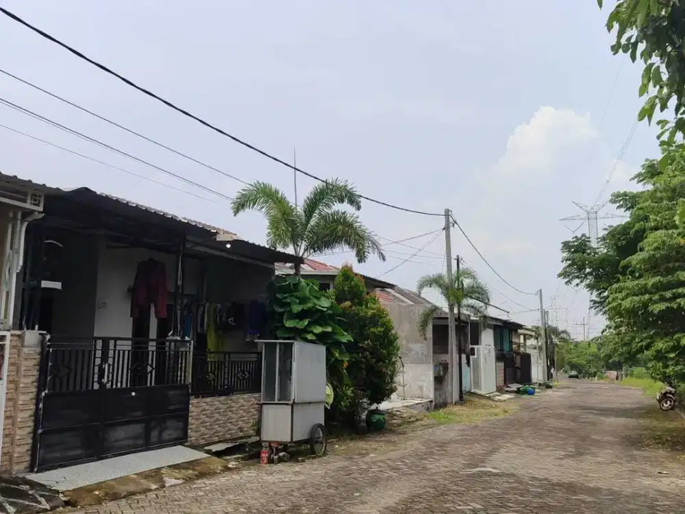 Perum Gading Intan Blok C1 No 04 Kel Mojosarirejo Driyorejo Gresik