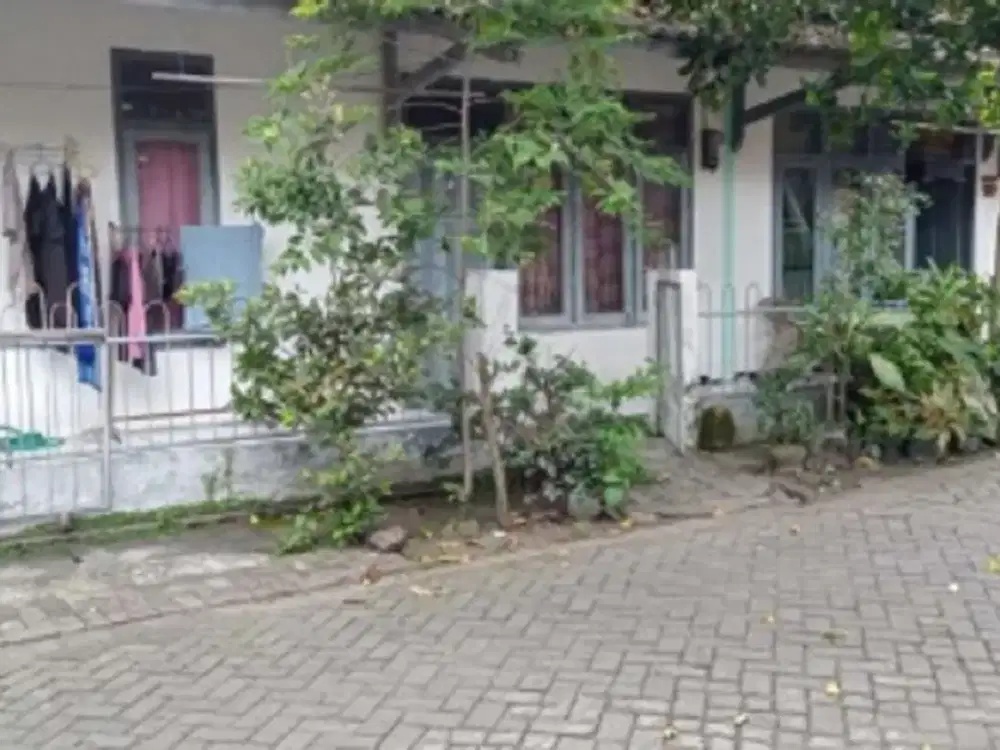 Jl. Sambikerep Gg. Mangga Rt 02 Rw 04 Kel Sambikerep Kec Sambikerep Ko