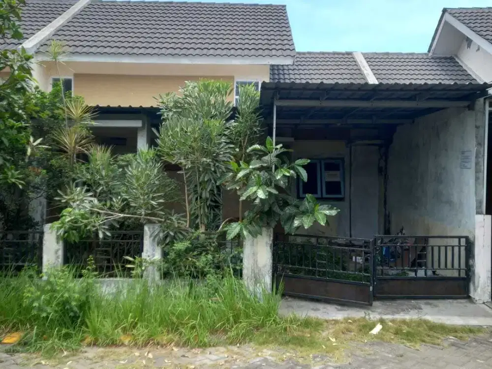 Perum Grand Surya Blok B1 No 12 Kel Dukuh Tengah Kec Buduran Sidoarjo