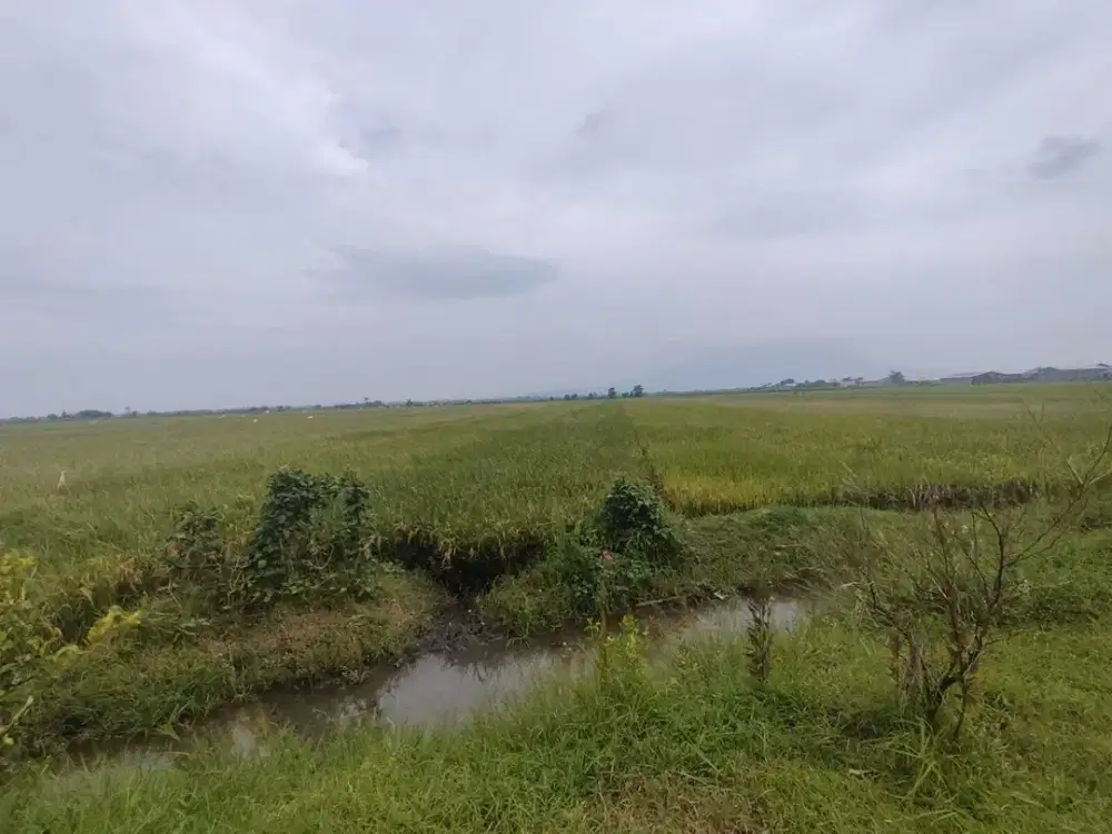 Tanah Kelurahan Randegan Kec Tanggulangin Kab Sidoarjo