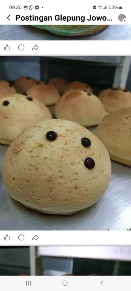 Roti mexico mantul