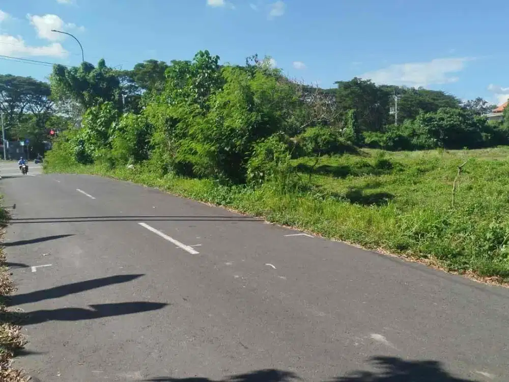 jual tanah ida Bagus mantra ketewel Gianyar