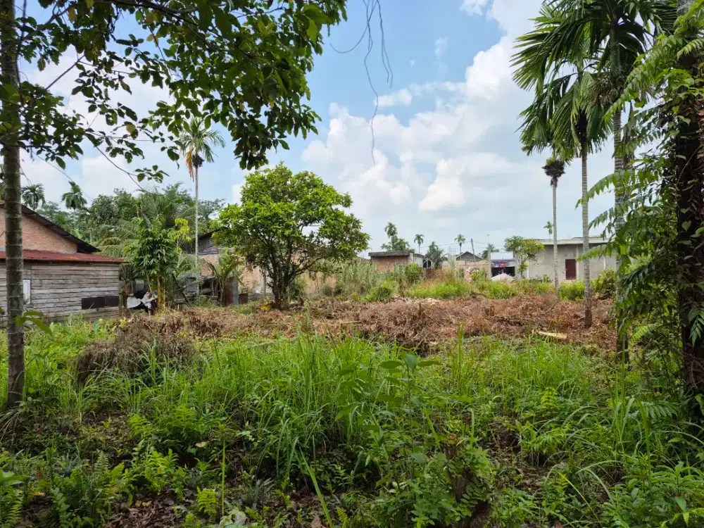 Tanah jalan taman karya ujung panam