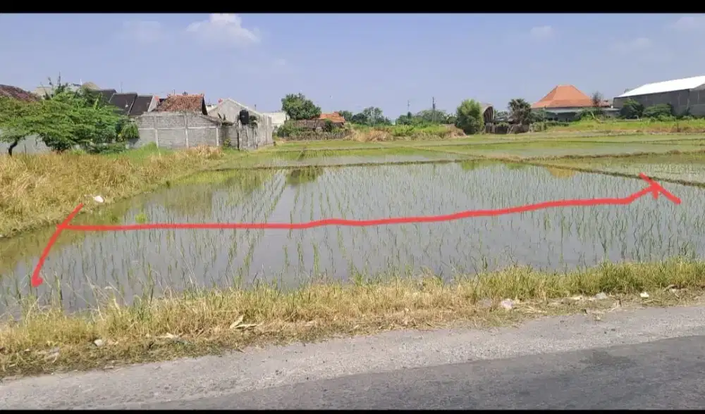Tanah KLODRAN 2000m Kering Colomadu dekat kota solo
