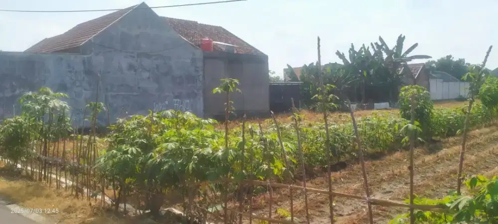 Tanah Kering 1746m Colomadu dekat kota solo