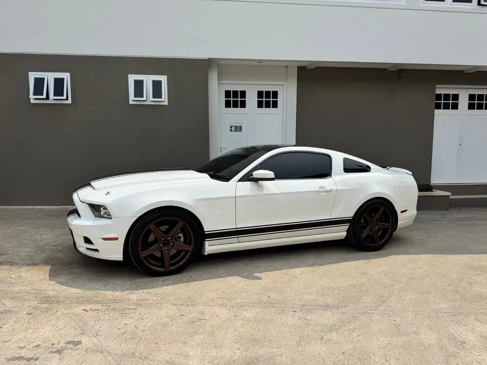 Mustang 5.0L Very low odo