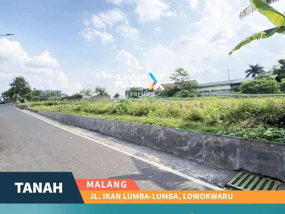 Disewakan Tanah  di Jl. Ikan Lumba Lumba Dekat Sudimoro Malang