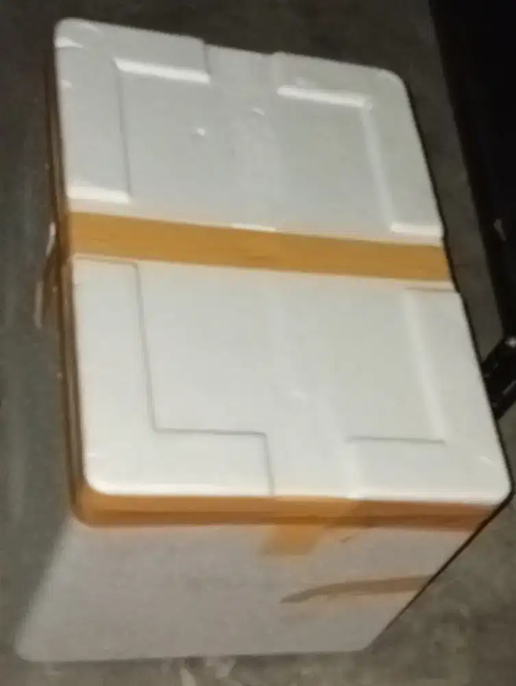 Box sterefoam 52x38x34