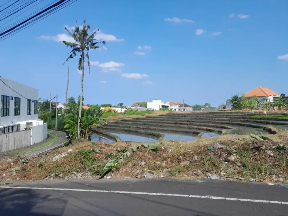 Tanah Komersial View Sawah di Kayu Tulang Utara – Cocok untuk Cafe & Villa