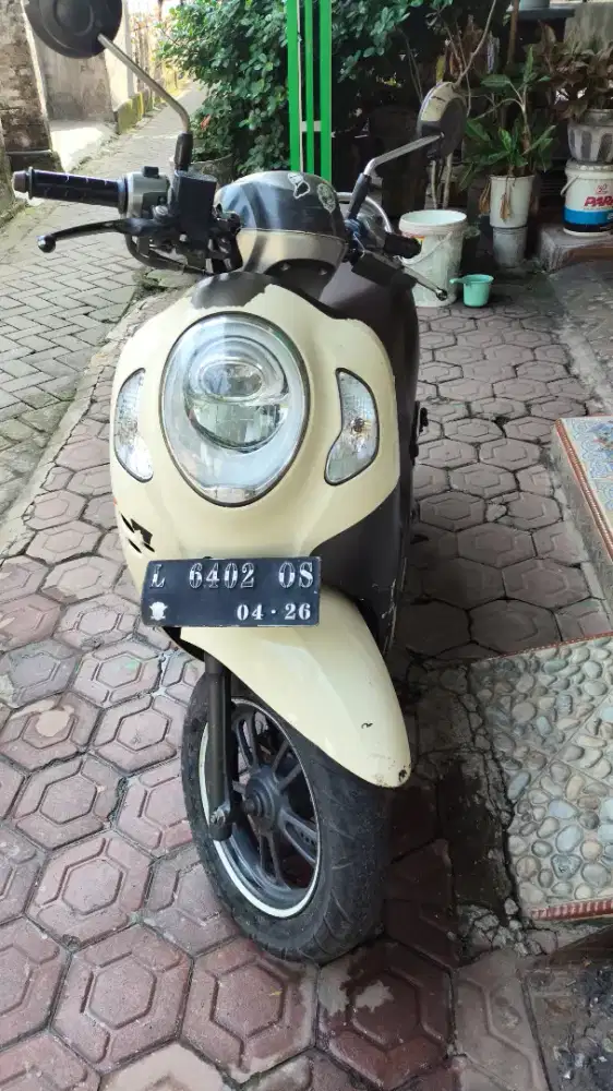 Honda scoopy 2020