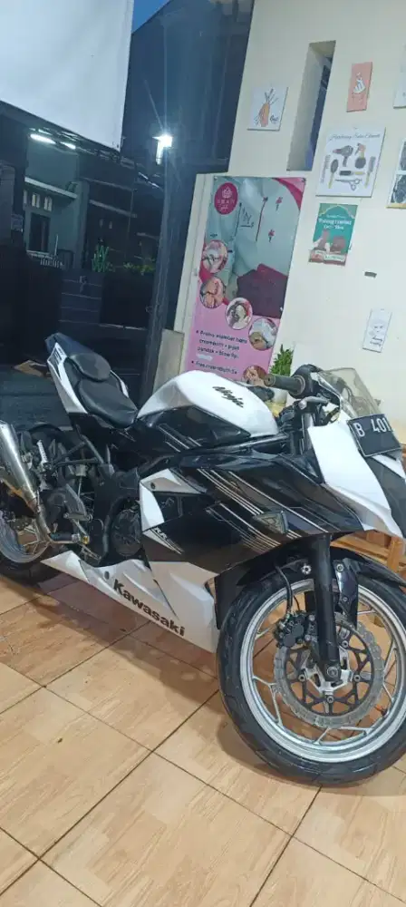 Ninja 250 SL / ninja RF mono