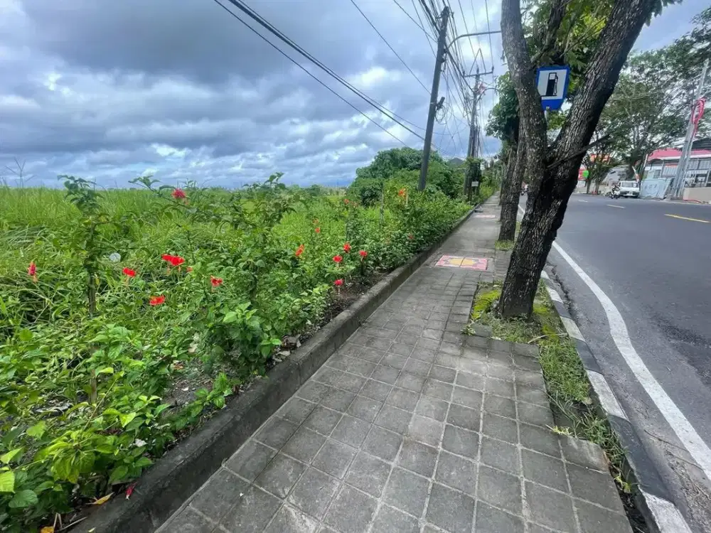 Dijual Tanah Utara Puspem Badung Bali Cocok untuk Bangun Gudang dan Tempat Usaha
