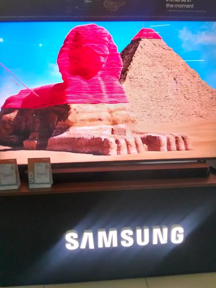 SAMSUNG MICRO RGB 65R85HAKXXD