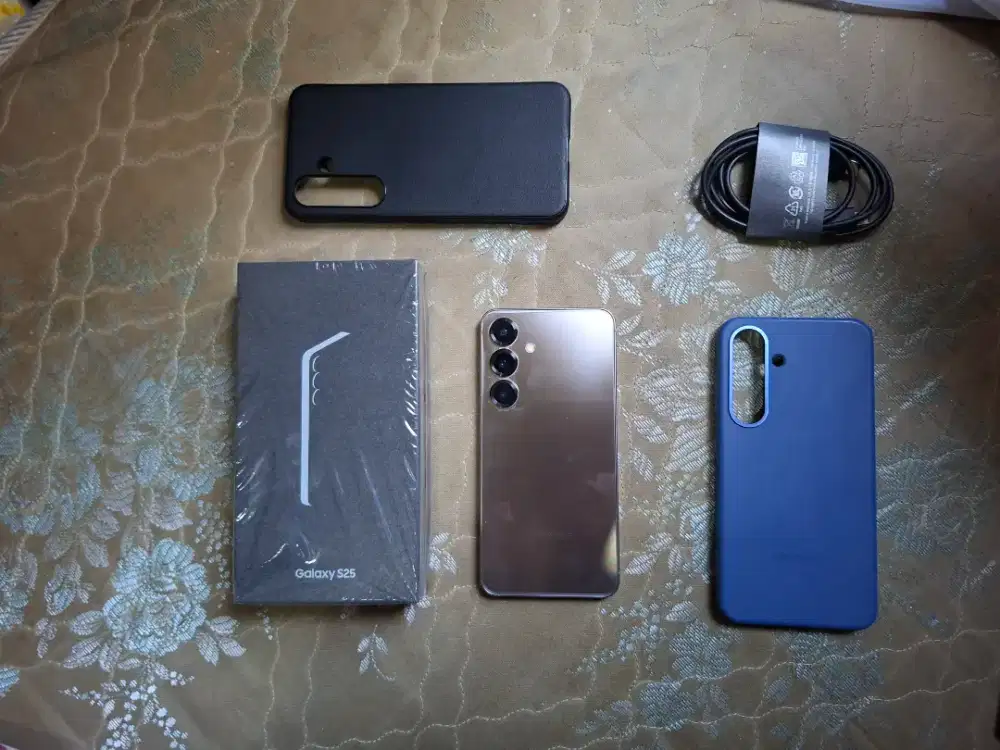 Samsung Galaxy S25