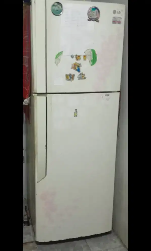 KULKAS LG 2 PINTU