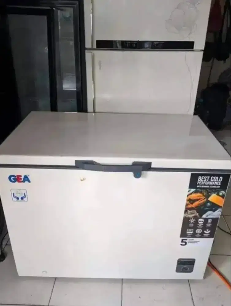frezeer 300 GEA