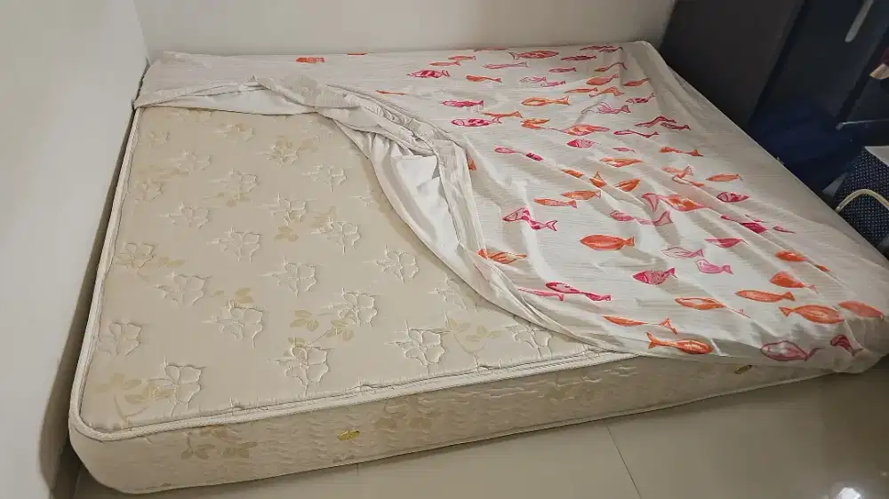 Jual 1 set kasur + dipan american standartd