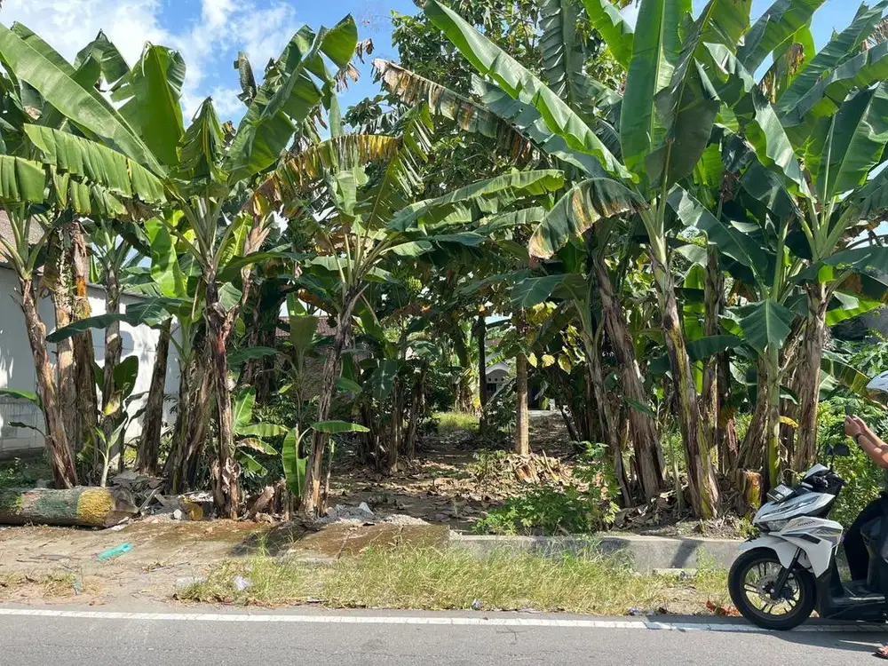 Tanah Pekarangan SHM