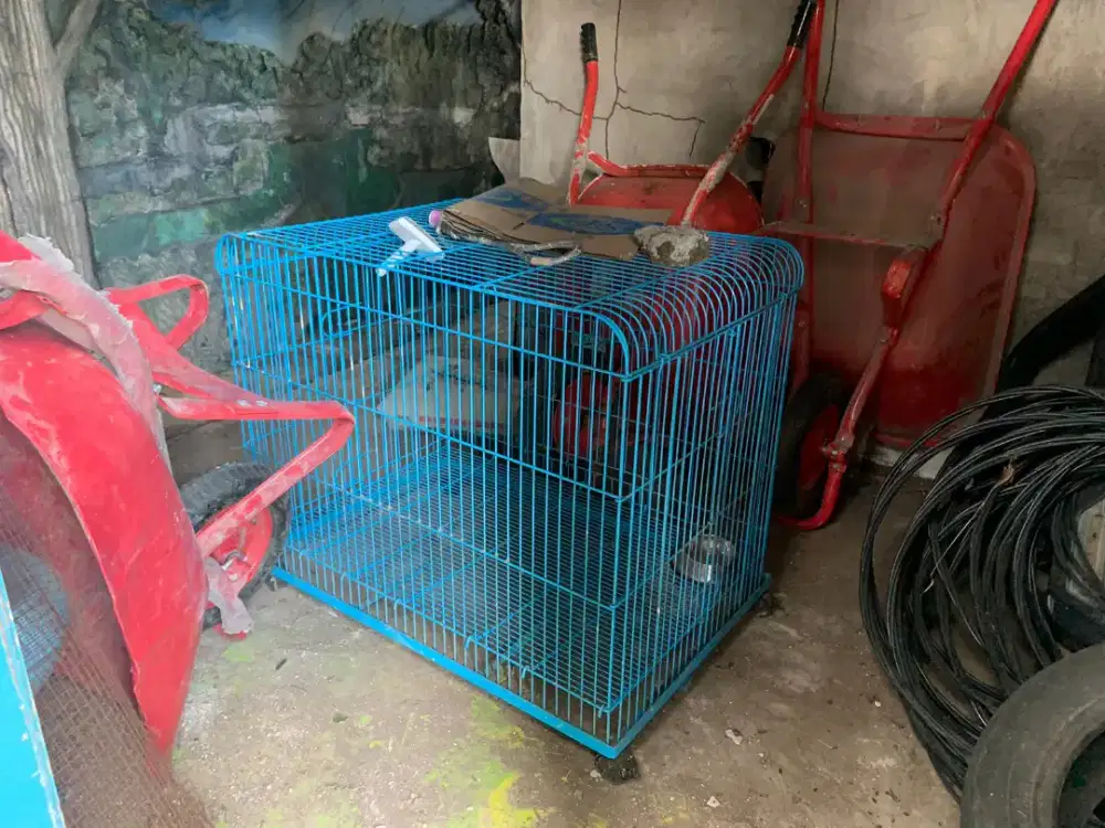 Kandang anjingg