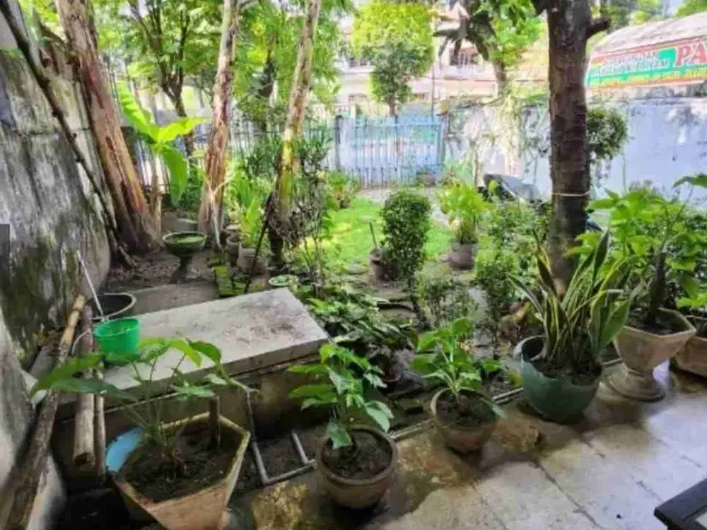 Rumah Hitung Tanah Dijual di Jl Majapahit Darmo Surabaya Pusat