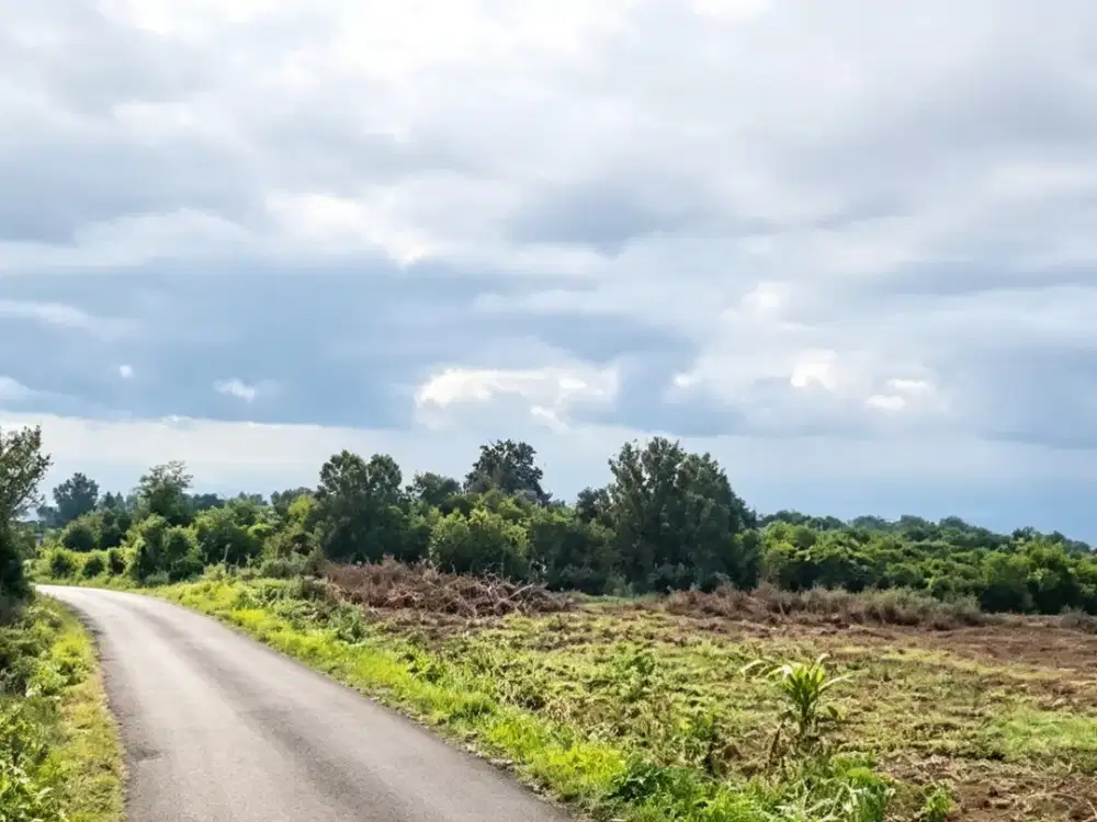 TANAH VIEW MENAWAN LOKASI RAYA GUMUK SELOREJO DAU MALANG