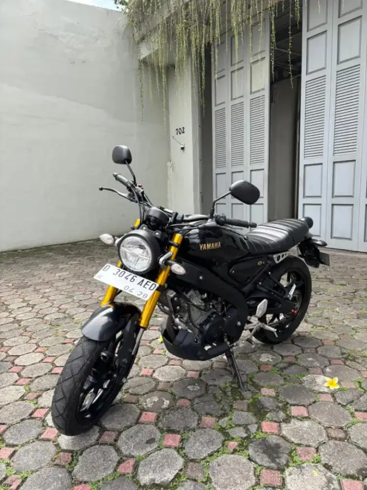 Yamaha xsr 155 2023