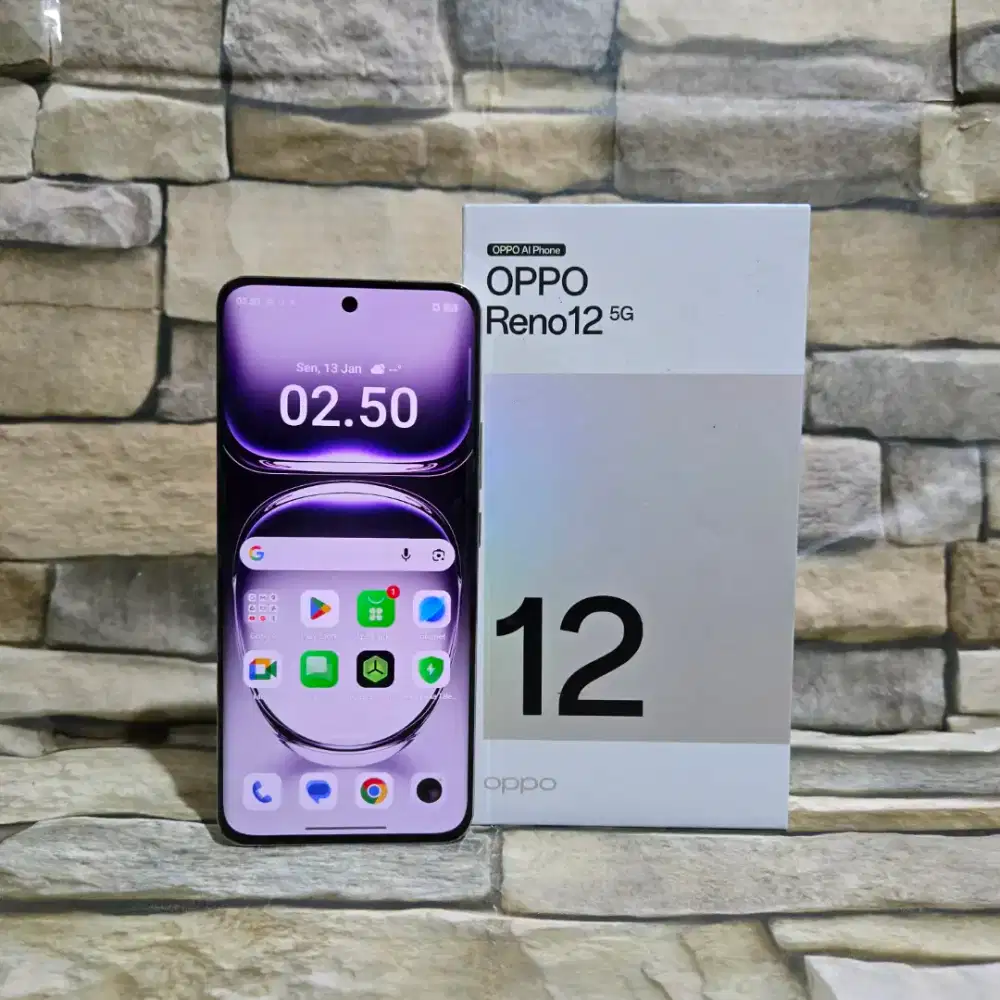 Oppo Reno 12 5G 12/256 Perak Fulset segel mulus 95%