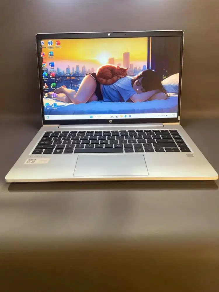 HP PROBOOK 445 G8 AMD RYZEN 5 5600