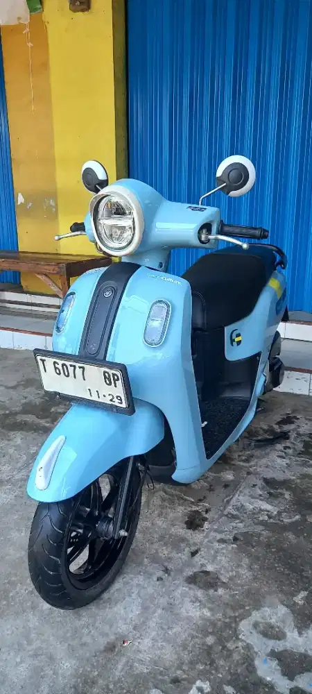 Y. Fazzio Neo Thn 2023