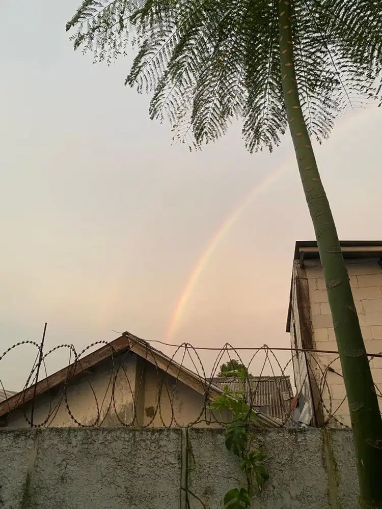 Dicari ART sekaligus penjaga anak