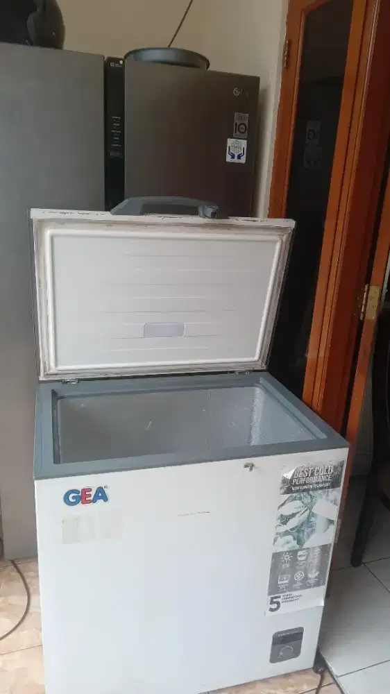 freezer box 200L GEA